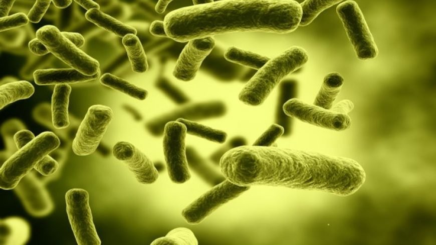 Επικίνδυνο μικρόβιο ανθεκτικό στα αντιβιοτικά εξαπλώνεται στον κόσμο