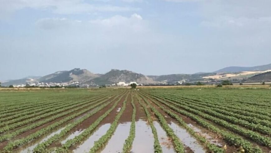 Θεσσαλία – Μέτρα για τους πληγέντες παραγωγούς από τις σφοδρές βροχοπτώσεις