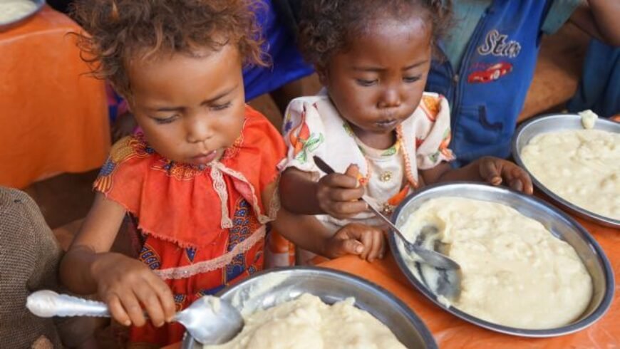ΟΗΕ – 45 εκατ. άνθρωποι στο χείλος του λιμού – Τρώνε ακρίδες