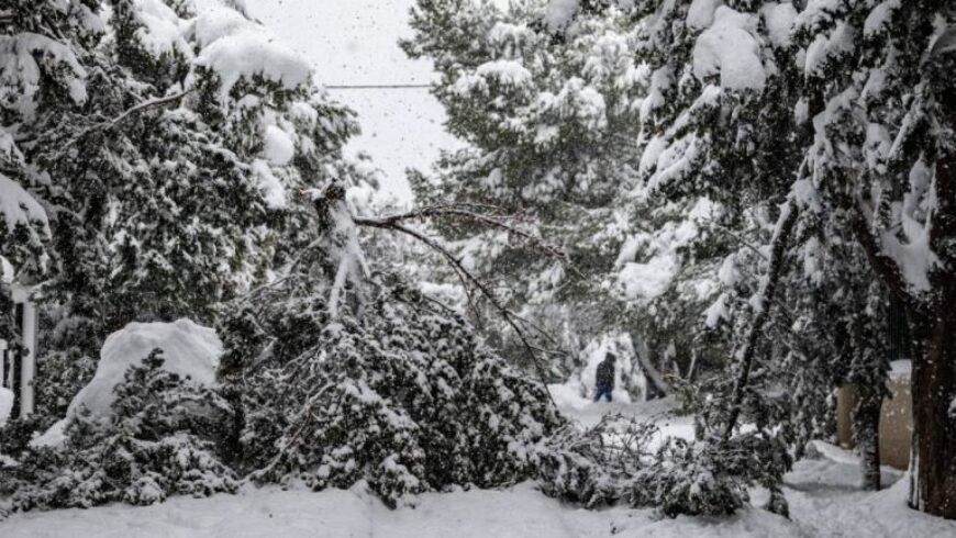 Χιόνια – Στα ορεινά σε Καρδίτσα και Τρίκαλα