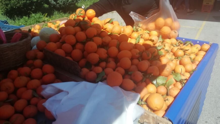 Αλλαγή ημέρας λαϊκών αγορών Δήμου Τρίπολης, λόγω εορτής