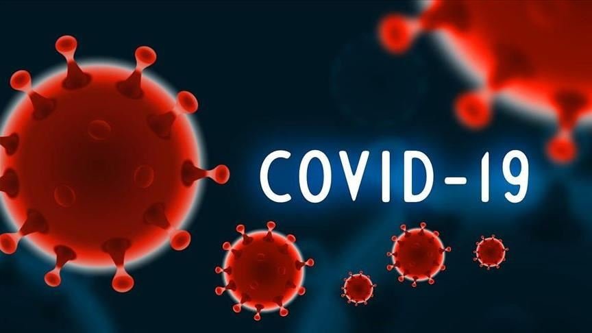 Ενημέρωση για τις δράσεις- ενέργειες της Διεύθυνσης Υγείας για την πανδημία του covid στο Περιφερειακό Συμβούλιο