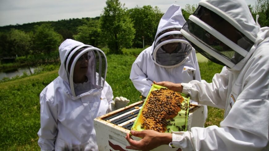 ΕΛΓΟ – Δήμητρα: Ξεκινούν προγράμματα κατάρτισης για μελισσοκόμους