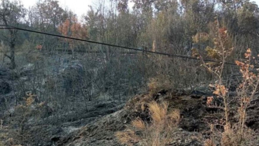 1.200.000 ευρώ για αποκατάσταση οδοποιίας στις πυρόπληκτες περιοχές της Μεγαλόπολης