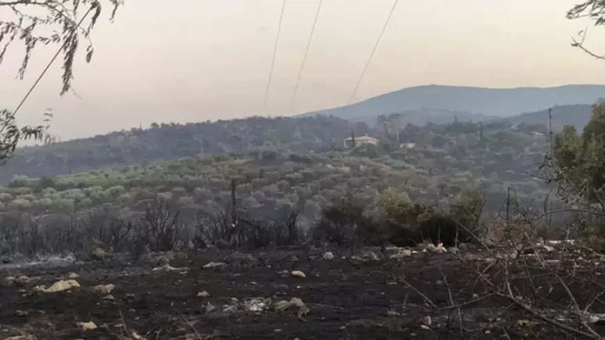 Νέα έργα στις πυρόπληκτες περιοχές της Κορινθίας και της Αρκαδίας