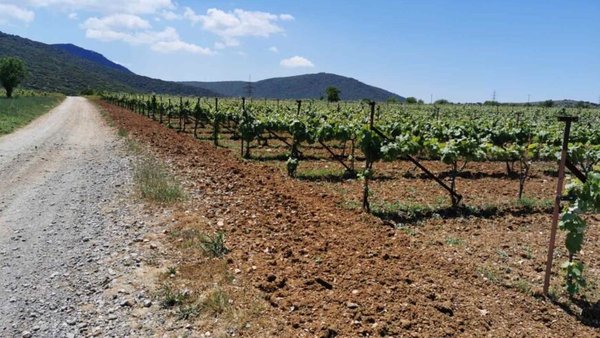 «Έργα με την ίδια συχνότητα στην πόλη και στα χωριά του Δήμου Τρίπολης»