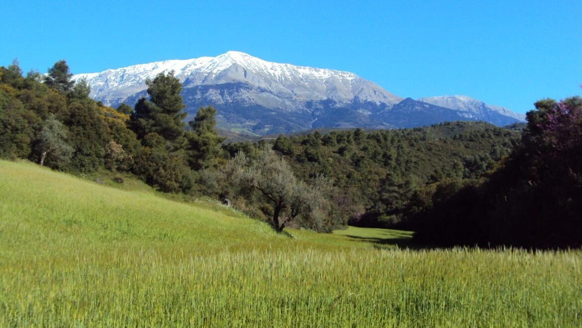 ΕΞΟΡΜΗΣΗ ΤΟΥ ΣΑΟΟ ΣΤΟΝ ΕΡΥΜΑΝΘΟ, ΚΥΡΙΑΚΗ 15/05/2022