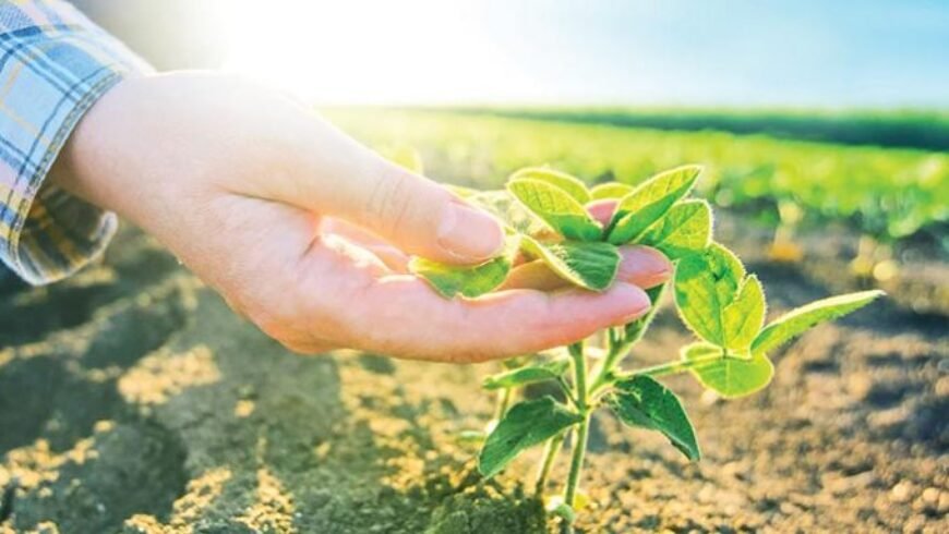 Υπ. Αγροτικής Ανάπτυξης: Μέσω του Gov.gr οι αιτήσεις και οι εγκρίσεις εμπορίας και διακίνησης φυτικών σπόρων