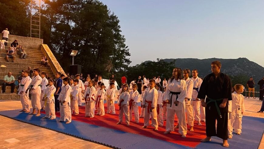 8o ΤΟΥΡΝΟΥΑ ΠΟΛΕΜΙΚΩΝ ΤΕΧΝΩΝ ΔΗΜΗΤΣΑΝΑ / ΔΗΜΟΣ ΓΟΡΤΥΝΙΑΣ