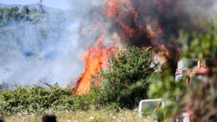 Υπό πλήρη έλεγχο η φωτιά στην περιοχή Τσελεπάκου στο Μαίναλο Αρκαδίας – Άμεση παρέμβαση των Πυροσβεστικών Υπηρεσιών