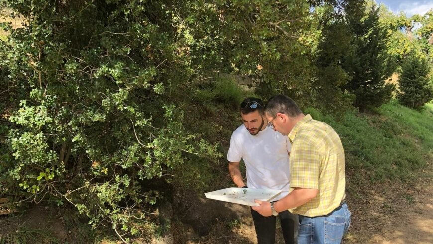 Επίσκεψη του καθηγητή εντομολογίας του Γεωπονικού Πανεπιστήμιου Αθηνών και Πρόεδρο της Εντομολογικής Εταιρείας Ελλάδος κ. Διονύσιο Περδίκη παρουσία του Αντιδημάρχου Αγροτικής Ανάπτυξης κ. Παναγιώτη Καμπουρολια στα χωριά του Πάρνωνα