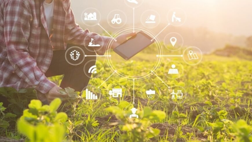 Ευφυής γεωργία: Στο δρόμο του ψηφιακού μετασχηματισμού