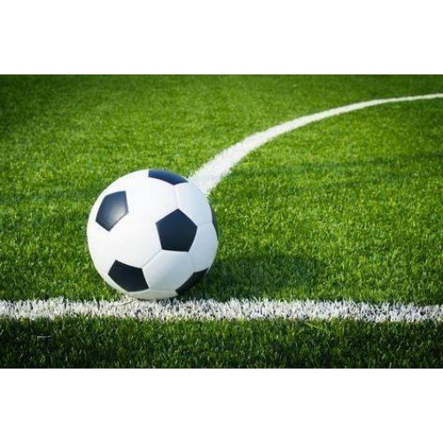 Ενίσχυση αθλητικών εγκαταστάσεων στην Π.Ε Αρκαδίας Τοποθέτηση χλοοτάπητα στο γήπεδο ”Τ.Μουκάκης”