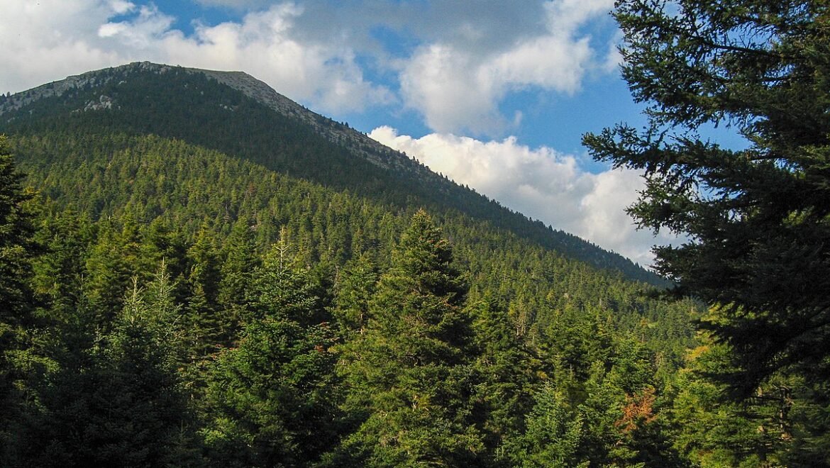 ”Η εγκατάσταση βαρέων τύπου βιομηχανικών ΑΠΕ στο Μαίναλο & οι επιπτώσεις στην τοπική οικονομία & κοινωνια”