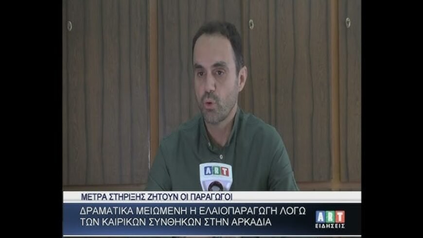 Δραματικά μειωμένη η ελαιοπαραγωγή λόγω καιρικών συνθηκών στην Αρκαδία