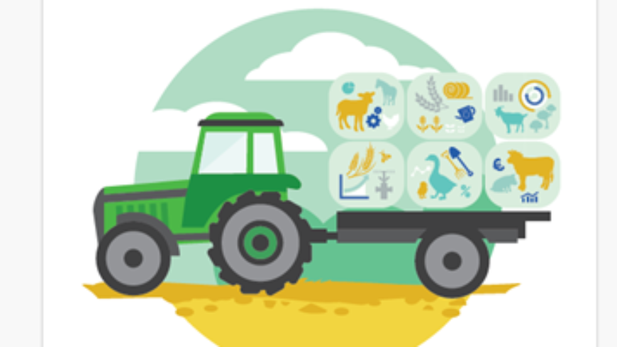 Έρευνα διάρθρωσης γεωργικών και κτηνοτροφικών εκμεταλλεύσεων έτους 2023