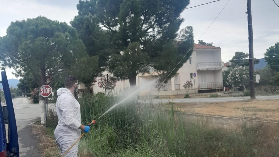 Πρόγραμμα καταπολέμησης κουνουπιών στον Δήμο Τρίπολης