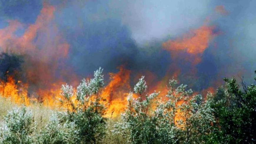 Γεώργιος Ι. Φαράντος ΄΄Για ακόμα μια φορά ερωτήματα για τα αναποτελεσματικά μέτρα αντιμετώπισης των πυρκαγιών στην Αρκαδία και την Πελοπόννησο ΄΄