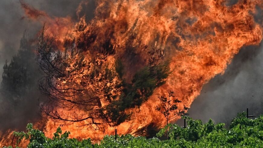  Παραμένει πολύ υψηλός ο κίνδυνος πυρκαγιάς (κατηγορία 4) στη Γορτυνία, για Παρασκευή 19 Ιουλίου 2024