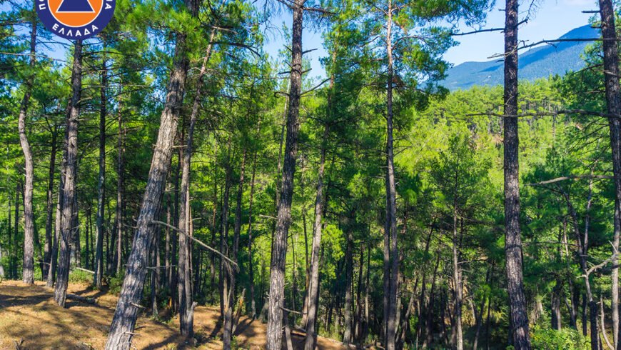 Πολύ υψηλός κίνδυνος δασικής πυρκαγιάς σε όλους τους νομούς της Περιφέρειας Πελοποννήσου την Παρασκευή 19 Ιουλίου