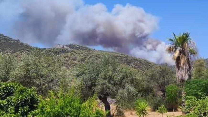 Πύρινος εφιάλτης στο Σοφικό Κορινθίας: Στο νοσοκομείο τρεις πυροσβέστες – Επιχειρούν 19 εναέρια μέσα