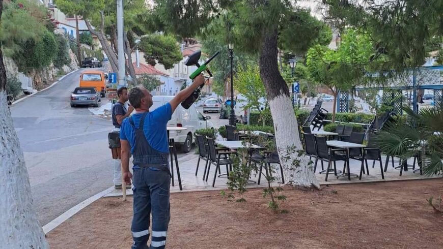 Καταπολέμηση της κάμπιας των πεύκων με τη χρήση pine t pro ball με σφαιρίδια