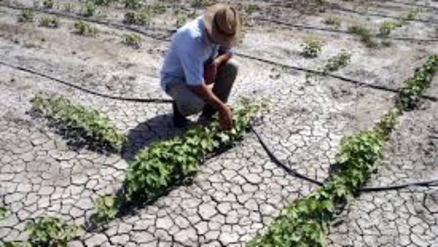 Η λειψυδρία απειλεί με αφανισμό τις καλλιέργειες..!