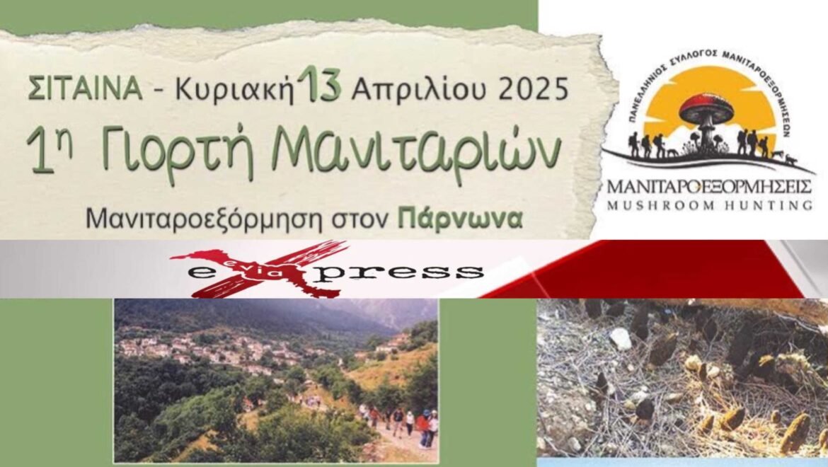 Με απόλυτη επιτυχία στέφθηκε η 1 η Γιορτή Μανιταριών στη Σίταινα