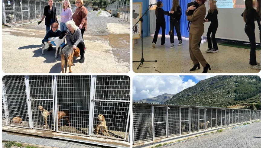 Παγκόσμια Ημέρα Αδέσποτων Ζώων – Δράσεις σε σχολεία και ανοιχτές πόρτες στο Δημοτικό Καταφύγιο Τρίπολης