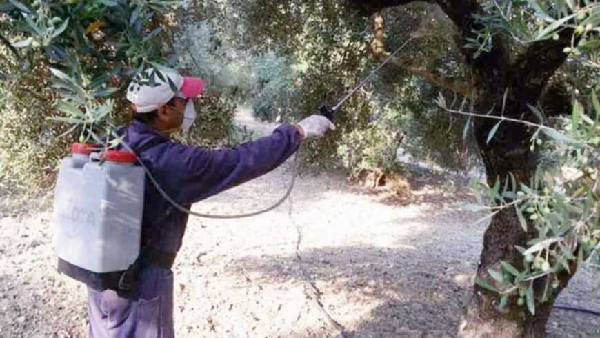 Πρόγραμμα δολωματικών ψεκασμών για Πέμπτη, 31/7/2025