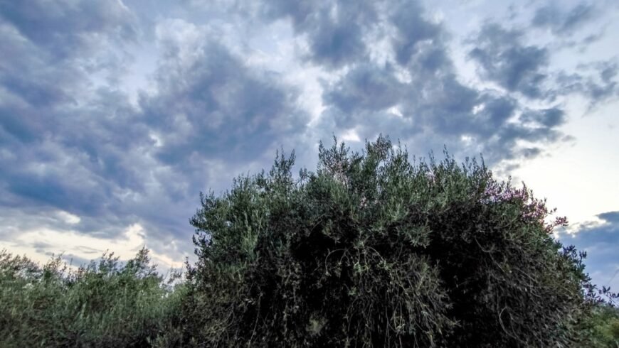 Αίθριος ο καιρός την Παρασκευή – Έρχονται βροχές και καταιγίδες το Σαββατοκύριακο