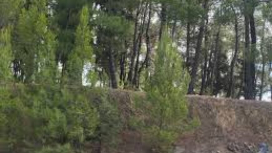 Υπογραφή του Περιφερειάρχη Δημήτρη Πτωχού για έργο ανάπλασης 2 εκατ. ευρώ στον «λόφο Μπιτσάνη-Δεξαμενή» του Δήμου Τρίπολης