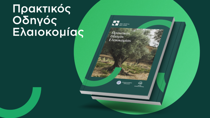 Διαθέσιμος δωρεάν ο Πρακτικός Οδηγός Ελαιοκομίας
