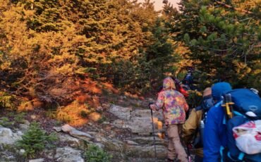 ΣΑΟΟ –  Ταΰγετος