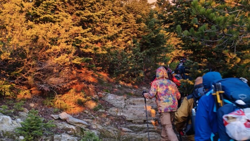 ΣΑΟΟ –  Ταΰγετος