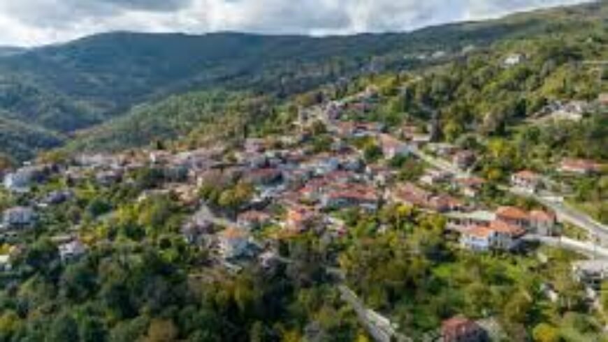 ΣΑΟΟ, ΚΥΡΙΑΚΗ 18/01/2026, ΑΝΩ ΔΟΛΙΑΝΑ – ΚΑΣΤΡΙ, ΚΟΠΉ ΠΙΤΑΣ