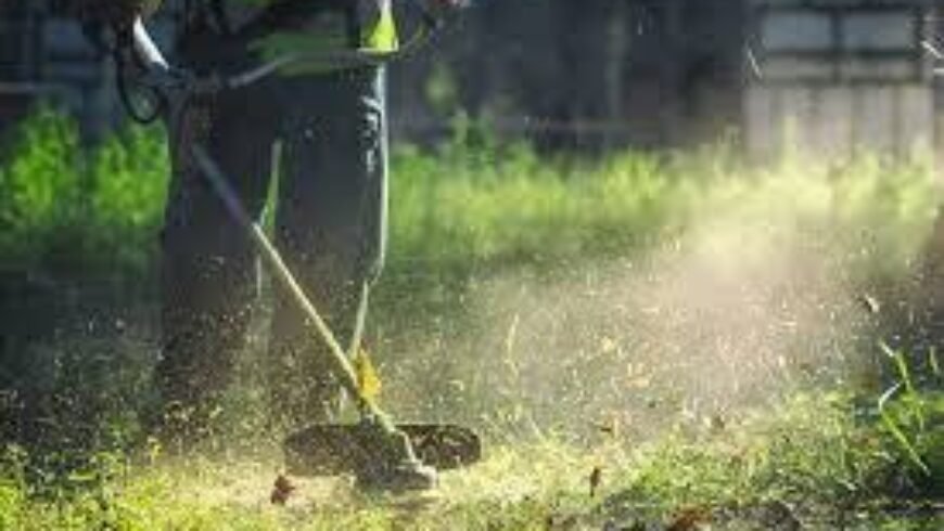 ΄΄Η απομάκρυνση κλαδιών από ιδιωτικούς χώρους, υποχρέωση ιδιοκτητών΄΄