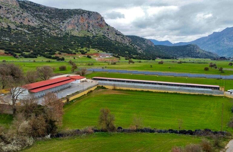 Δήμος Τρίπολης: “Εξασφαλίσαμε και την άδεια λειτουργίας του Δημοτικού Καταφυγίου”