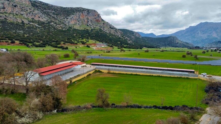 Δήμος Τρίπολης: “Εξασφαλίσαμε και την άδεια λειτουργίας του Δημοτικού Καταφυγίου”