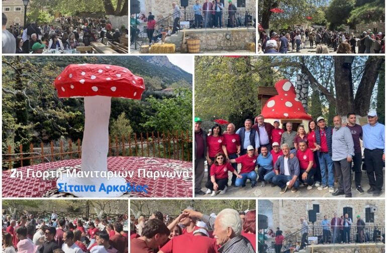 2η Γιορτή Μανιταριών στη Σίταινα