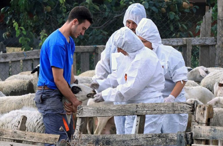 Σοβαρά προβλήματα αντιμετωπίζουν οι κτηνοτρόφοι