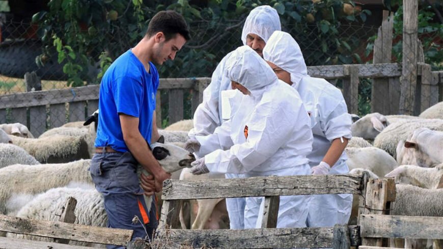 Σοβαρά προβλήματα αντιμετωπίζουν οι κτηνοτρόφοι
