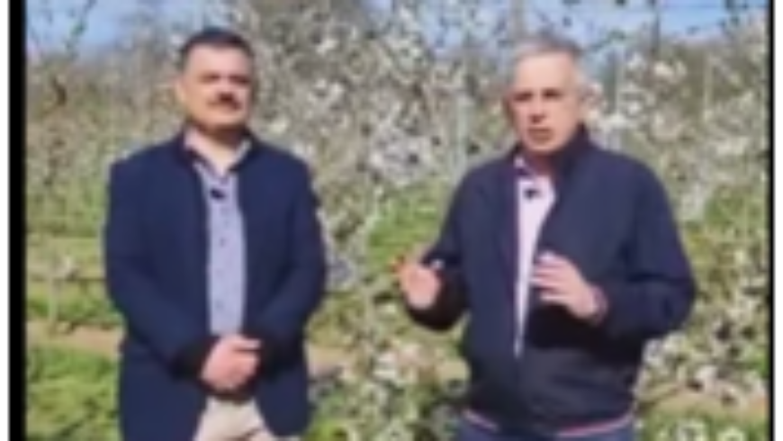 Μακαρης-Φαραντος: Στα Αγιωργίτικα Τριπόλεως οι καλλιέργειες σβήνουν εξαιτίας των πολιτικών επιλογών