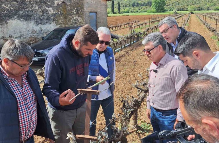 Καταγραφή ζημιών από παγετό από την Περιφέρεια Πελοποννήσου