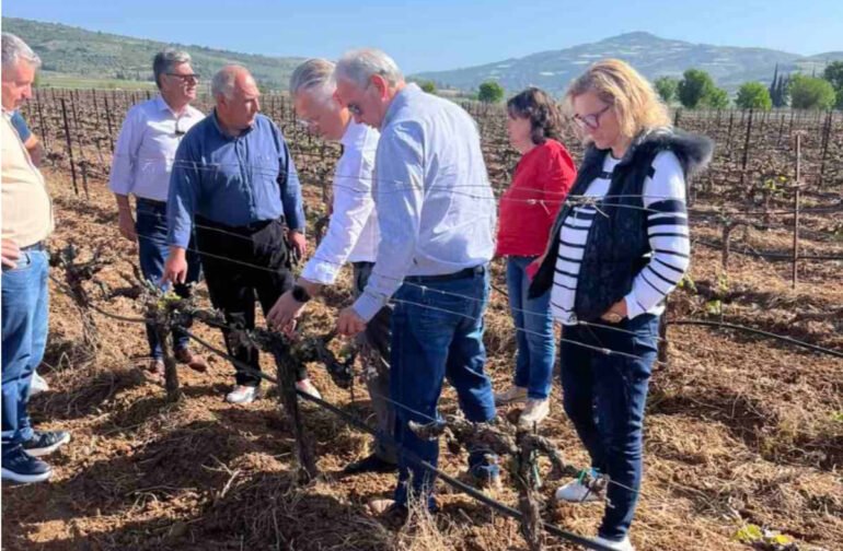 Στις πληγείσες από τον παγετό καλλιέργειες του Δήμου Νεμέας ο Περιφερειάρχης 