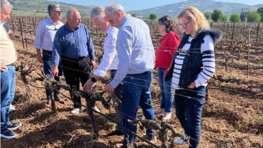 Στις πληγείσες από τον παγετό καλλιέργειες του Δήμου Νεμέας ο Περιφερειάρχης 