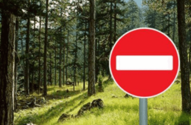 Απαγόρευση κυκλοφορίας οχημάτων και παραμονής εκδρομέων σε περιοχέςNATURA, δασικά οικοσυστήματα, πάρκα και άλση της ΠεριφερειακήςΕνότητας Μεσσηνίας, την Τετάρτη 12/08/26.