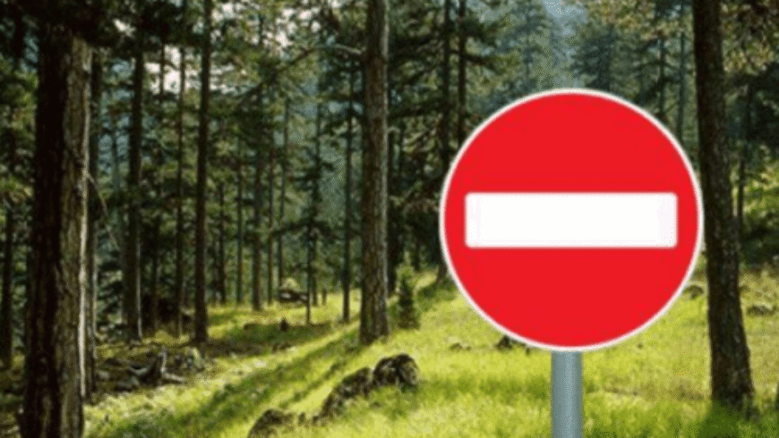 Απαγόρευση κυκλοφορίας οχημάτων και παραμονής εκδρομέων σε περιοχέςNATURA, δασικά οικοσυστήματα, πάρκα και άλση της ΠεριφερειακήςΕνότητας Μεσσηνίας, την Τετάρτη 12/08/26.