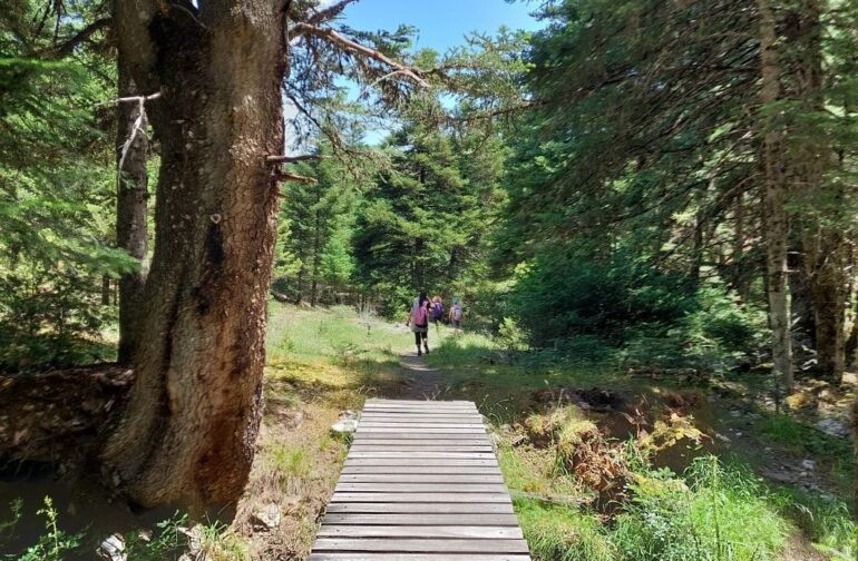 Menalon Trail Το πρώτο πιστοποιημένο μονοπάτι στην Ελλάδα