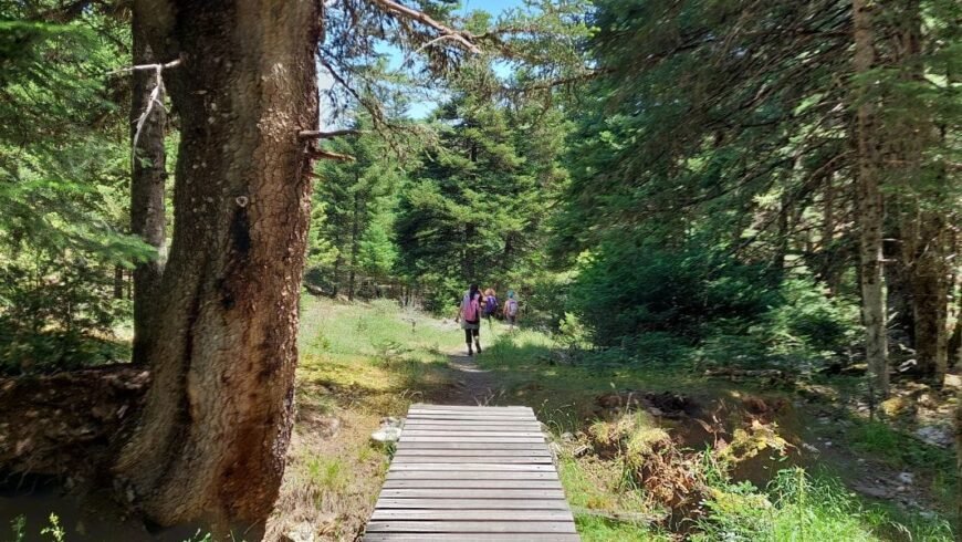 Menalon Trail Το πρώτο πιστοποιημένο μονοπάτι στην Ελλάδα